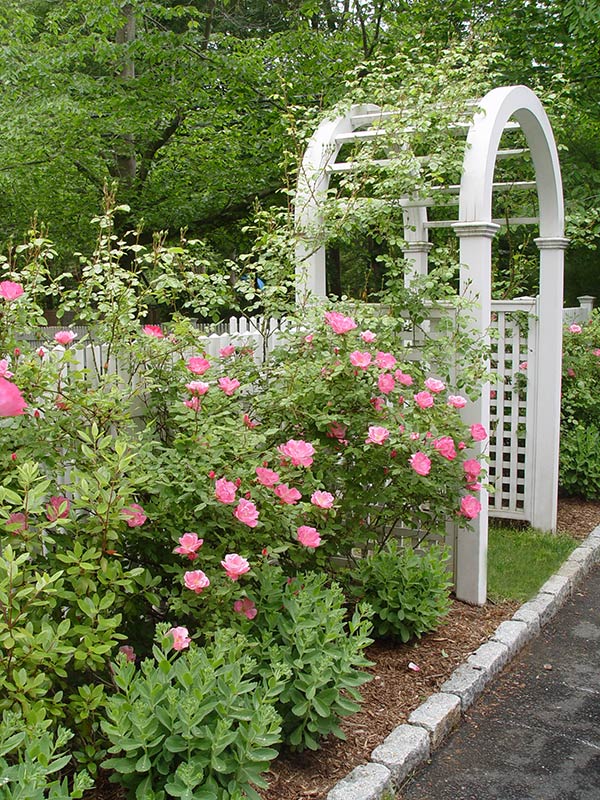 Earthscapes additional landscaping services plant installation, fencing, and maintenance