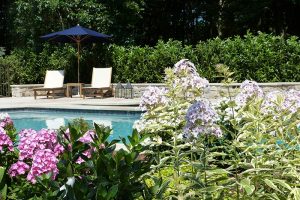 Earthscapes custom outdoor living and landscape design services of a pool and a lounge or tanning area